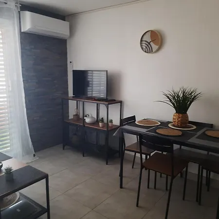 Cap D Avec Coin Sur L Ile Des Pecheurs,ascenseur Disponible * Agde
