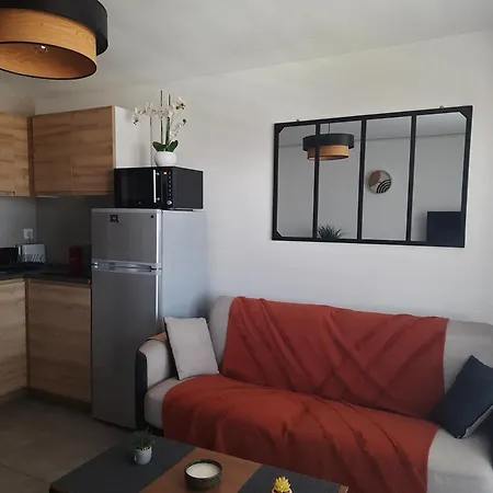 Cap D Avec Coin Sur L Ile Des Pecheurs,ascenseur Disponible Apartment Agde